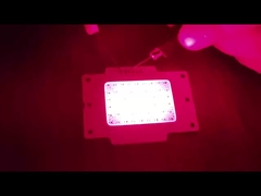 COB LED CHIP 15W LED COB For Therapy Light LED