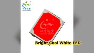 Bright Cool White 5054 SMD LED Chip 0.5W